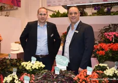 Teunis and Andre van Koppe Begonia placed the Beleaf series and the Sweeties in the spotlight.